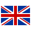 Flag of US